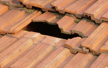 roof repair Coldingham, Scottish Borders
